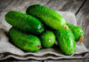 Как сохранить огурцы свежими надолго