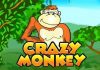 Crazy Monkey — легендарный слот «обезьянки» Crazy Monkey