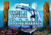 Игровой автомат Wild Dolphins Wild Dolphins