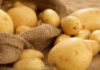 Эксперты рассказали, когда нельзя употреблять картофель