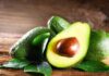 Найден способ для самого быстрого дозревания авокадо — читать на Gastronom.ru