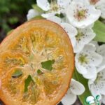 b8d030eef6d87b26052d1ac17ae5cd66