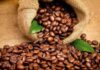 Выбор зернового кофе