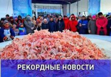 Рекорд по приготовлению строганины на Слете оленеводов в Тазовском